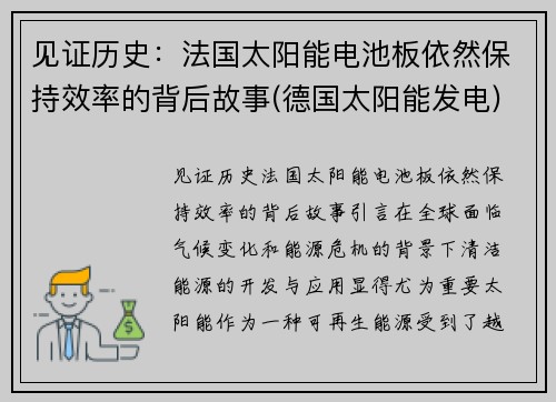 见证历史：法国太阳能电池板依然保持效率的背后故事(德国太阳能发电)