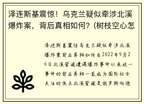 泽连斯基震惊！乌克兰疑似牵涉北溪爆炸案，背后真相如何？(树枝空心怎么办)