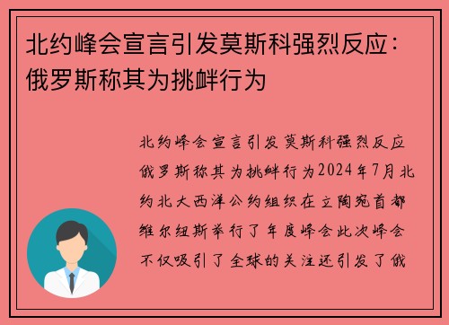 北约峰会宣言引发莫斯科强烈反应：俄罗斯称其为挑衅行为