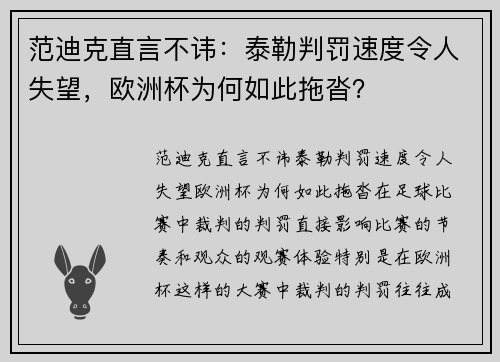 范迪克直言不讳：泰勒判罚速度令人失望，欧洲杯为何如此拖沓？